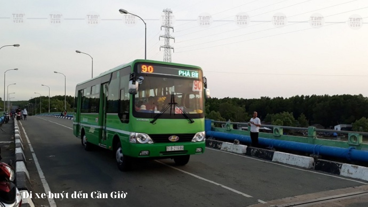 xe buýt Cần Giờ