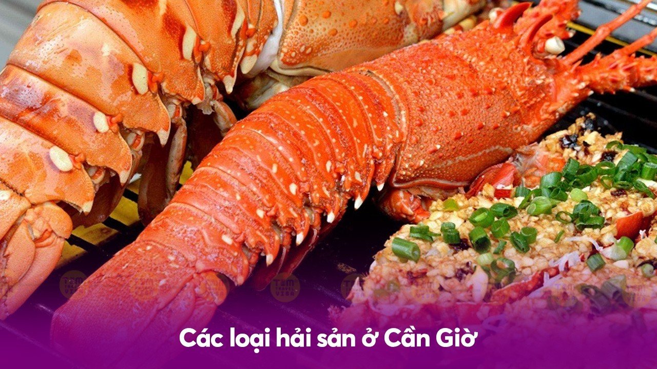 Các loại hải sản ở Cần Giờ