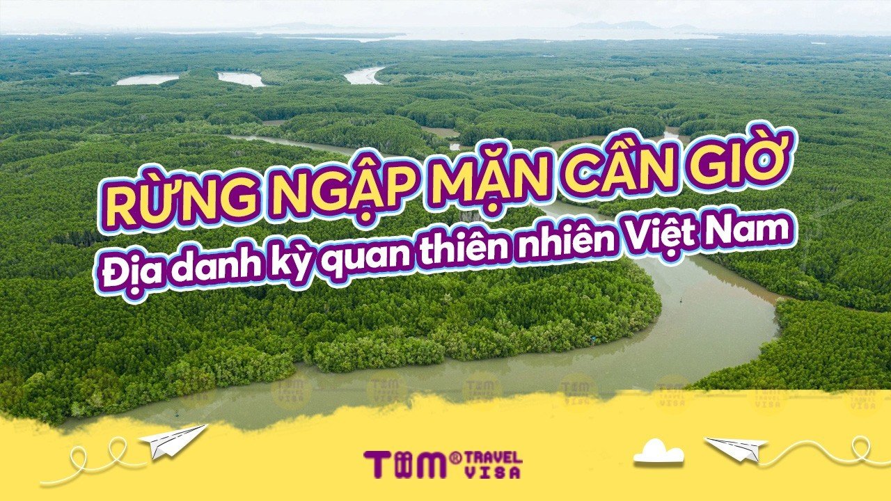 Rừng ngập mặn Cần Giờ - Địa danh kỳ quan thiên nhiên Việt Nam