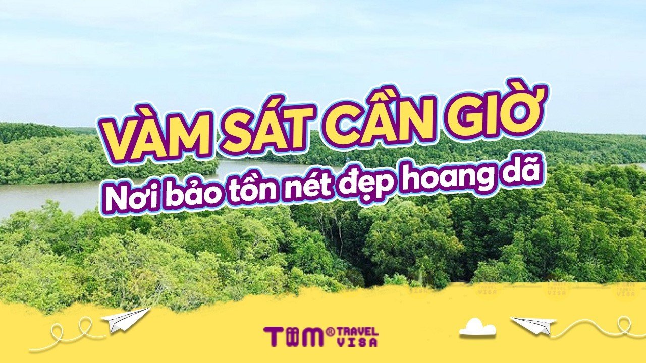 Vàm Sát Cần Giờ - Nơi bảo tồn nét đẹp hoang dã