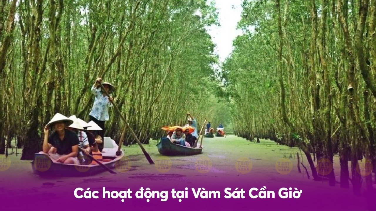 Các hoạt động tại Vàm Sát Cần Giờ