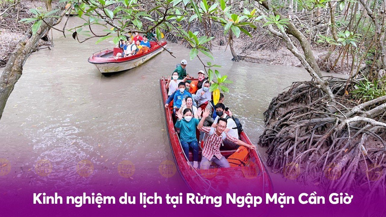 Kinh nghiệm du lịch tại Rừng Ngập Mặn Cần Giờ