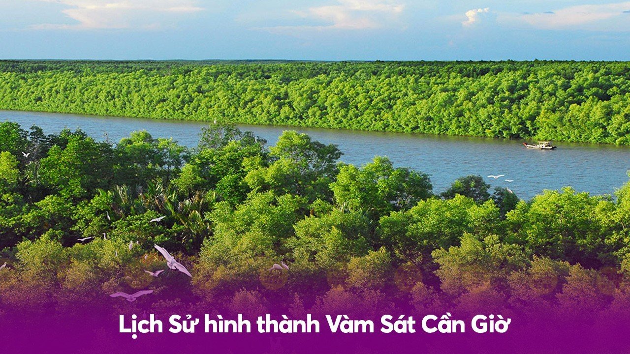 Lịch Sử hình thành Vàm Sát Cần Giờ