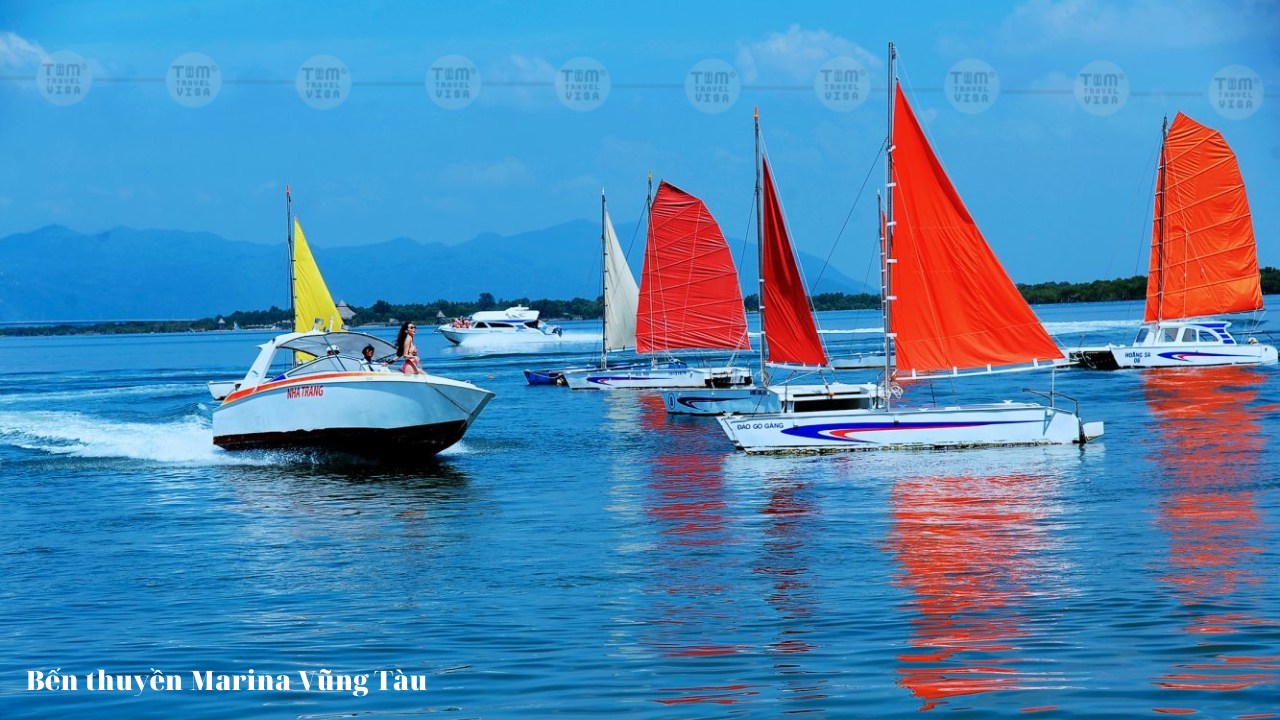 bến thuyền marina