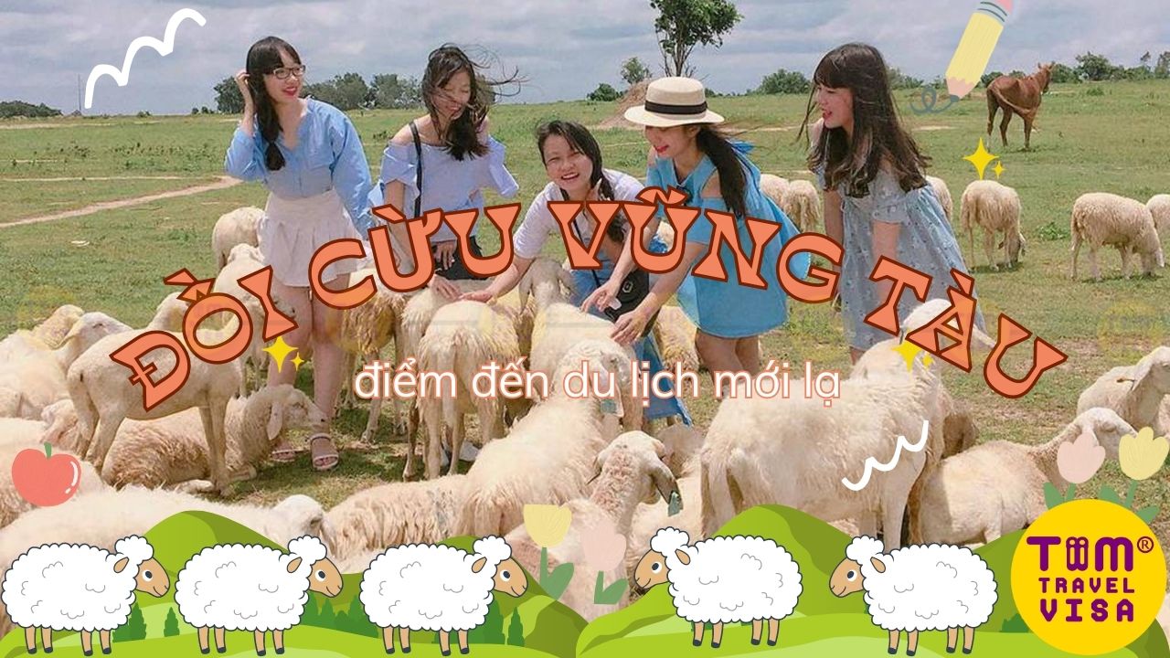 Đồi cừu Vũng Tàu - điểm đến du lịch mới lạ