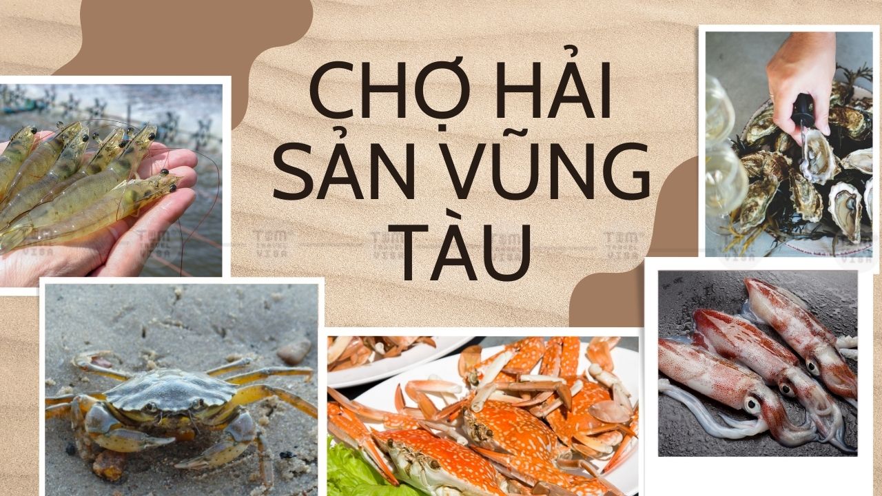 Các loại hải sản được bán tại chợ Hải sản Vũng Tàu