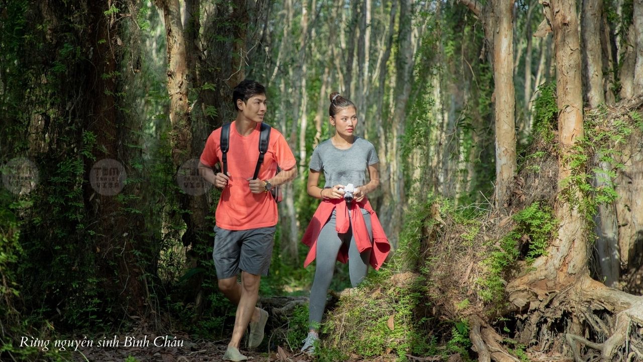 Rừng nguyên sinh Bình Châu