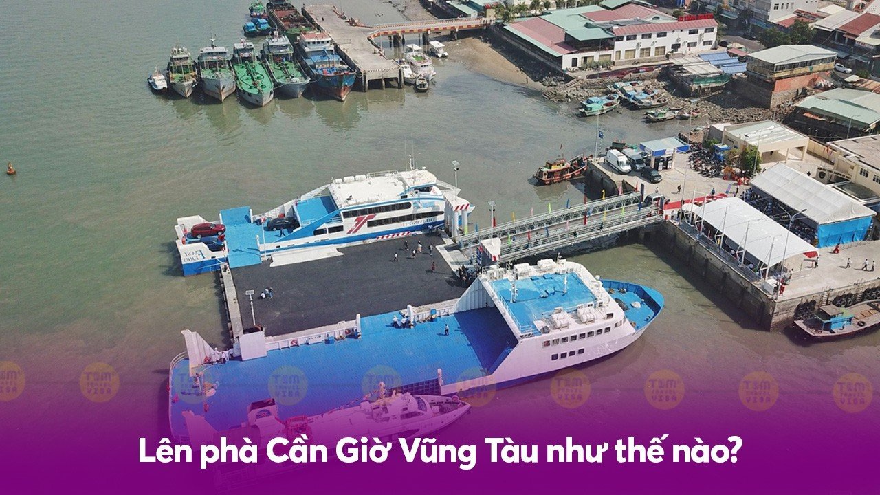 Lên phà Cần Giờ Vũng Tàu như thế nào?