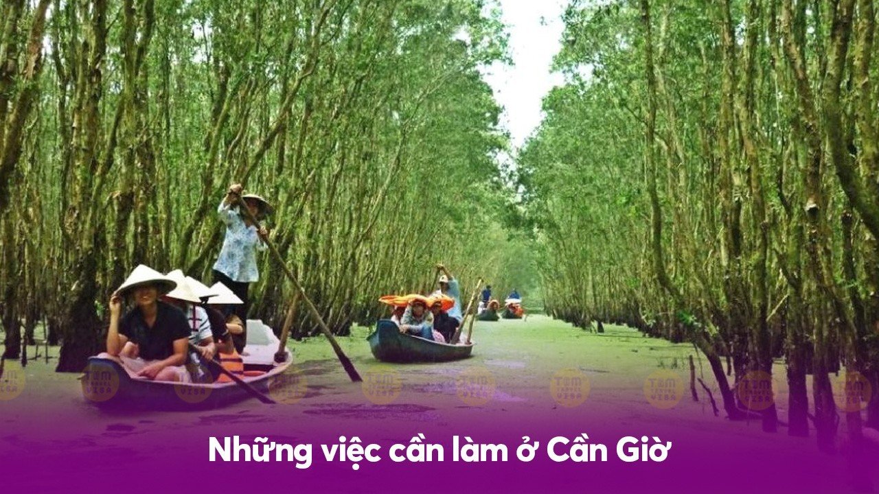 Những việc cần làm ở Cần Giờ