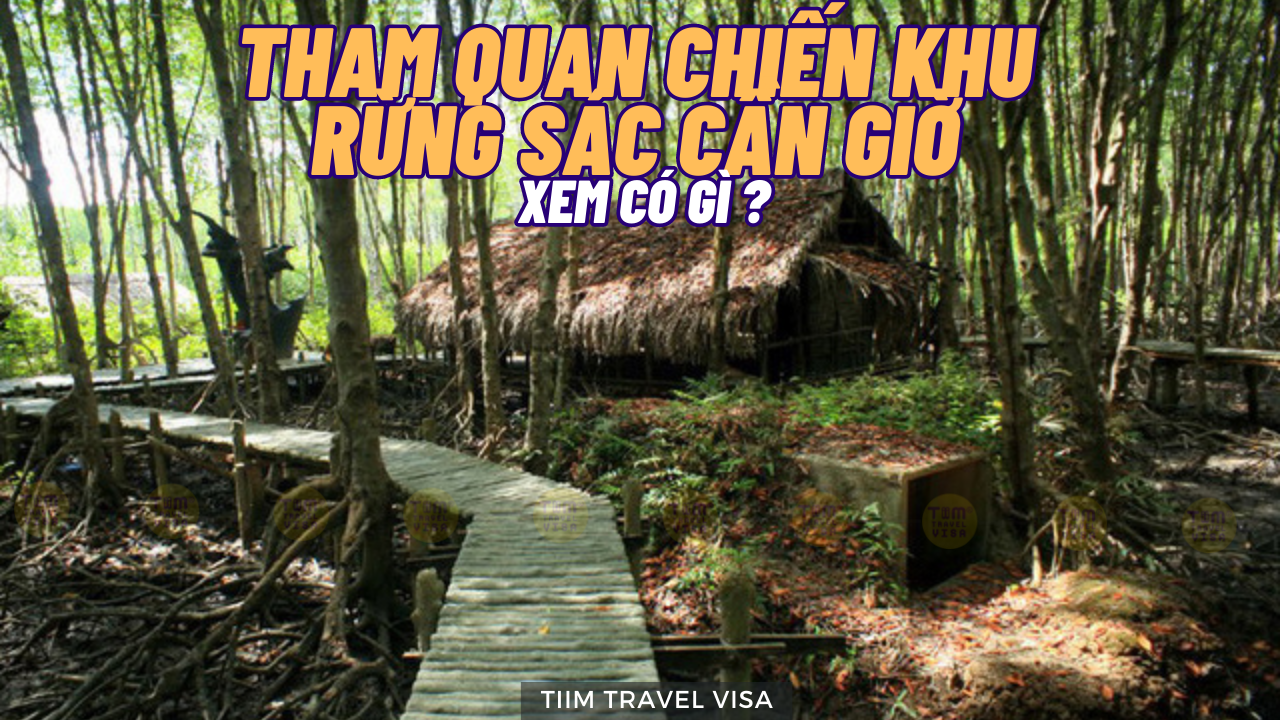 Tham quan chiến khu rừng Sác Cần Giờ xem có gì?