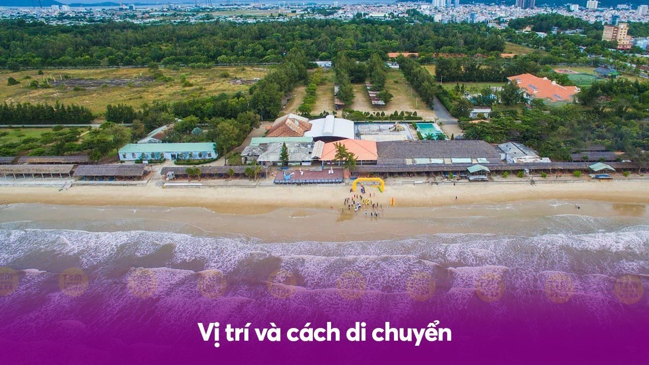 Vị trí và cách di chuyển