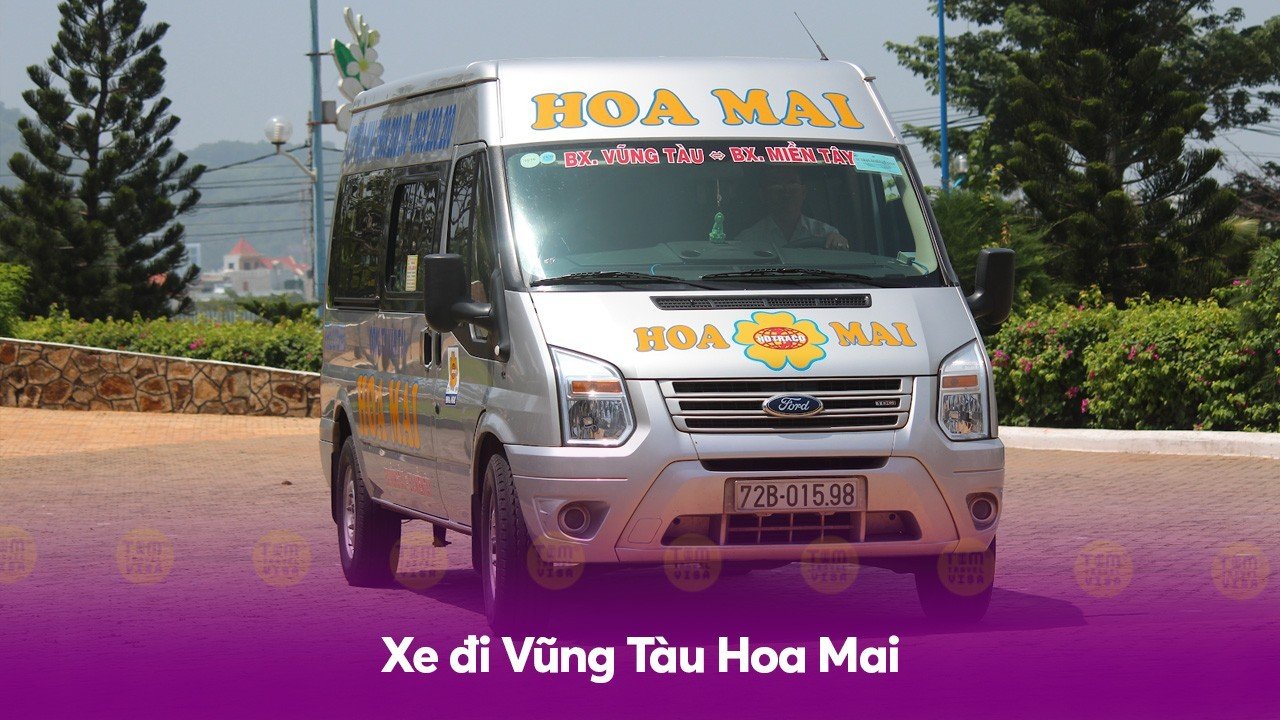 Xe đi Vũng Tàu Hoa Mai