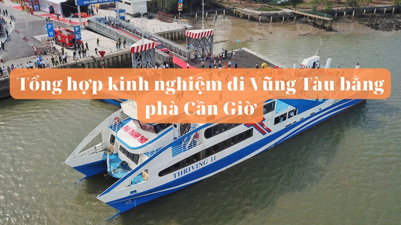 Tổng hợp kinh nghiệm đi Vũng Tàu bằng phà Cần Giờ