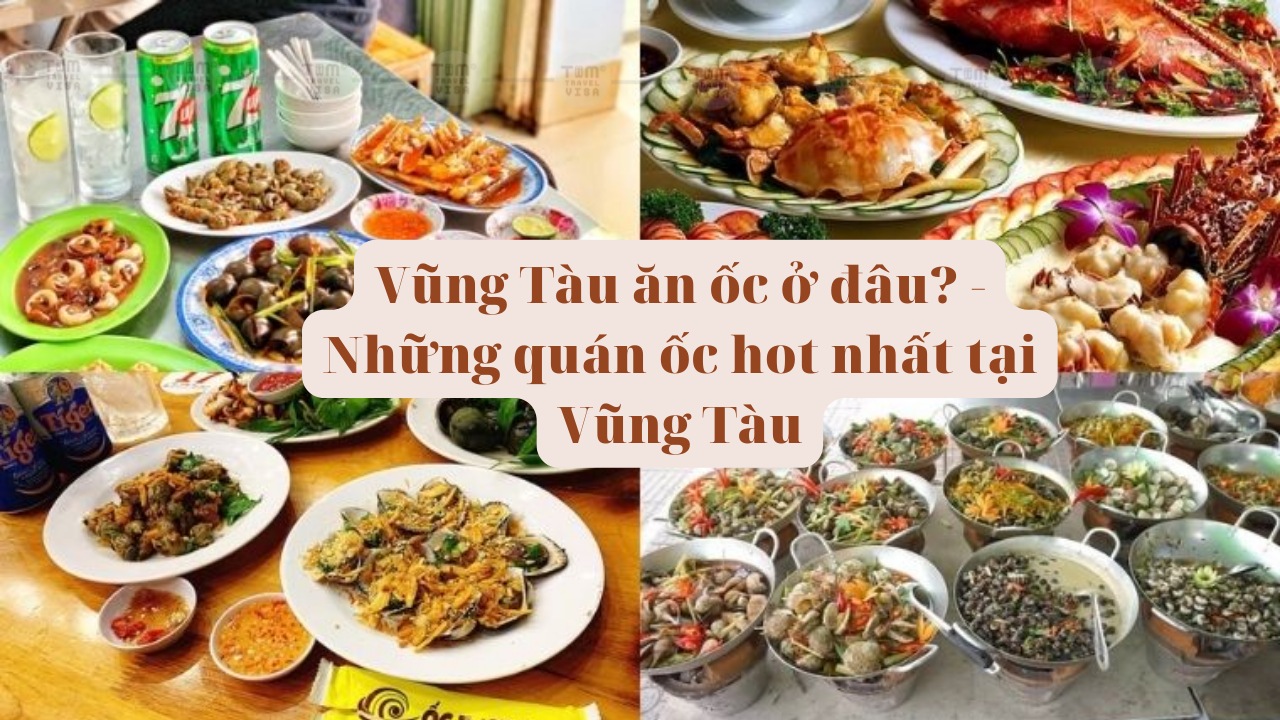 Vũng Tàu ăn ốc ở đâu? Top 7 quán ốc tự nhiên Vũng Tàu ngon