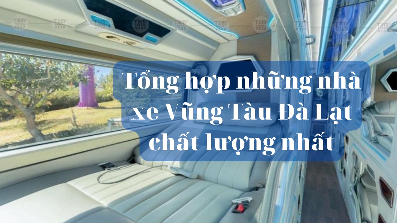 Tổng hợp những nhà xe Vũng Tàu Đà Lạt chất lượng nhất