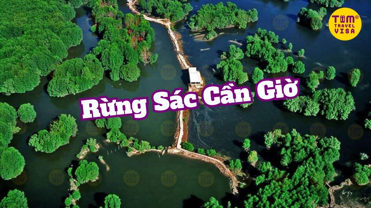 Rừng Sác Du lịch Cần Giờ