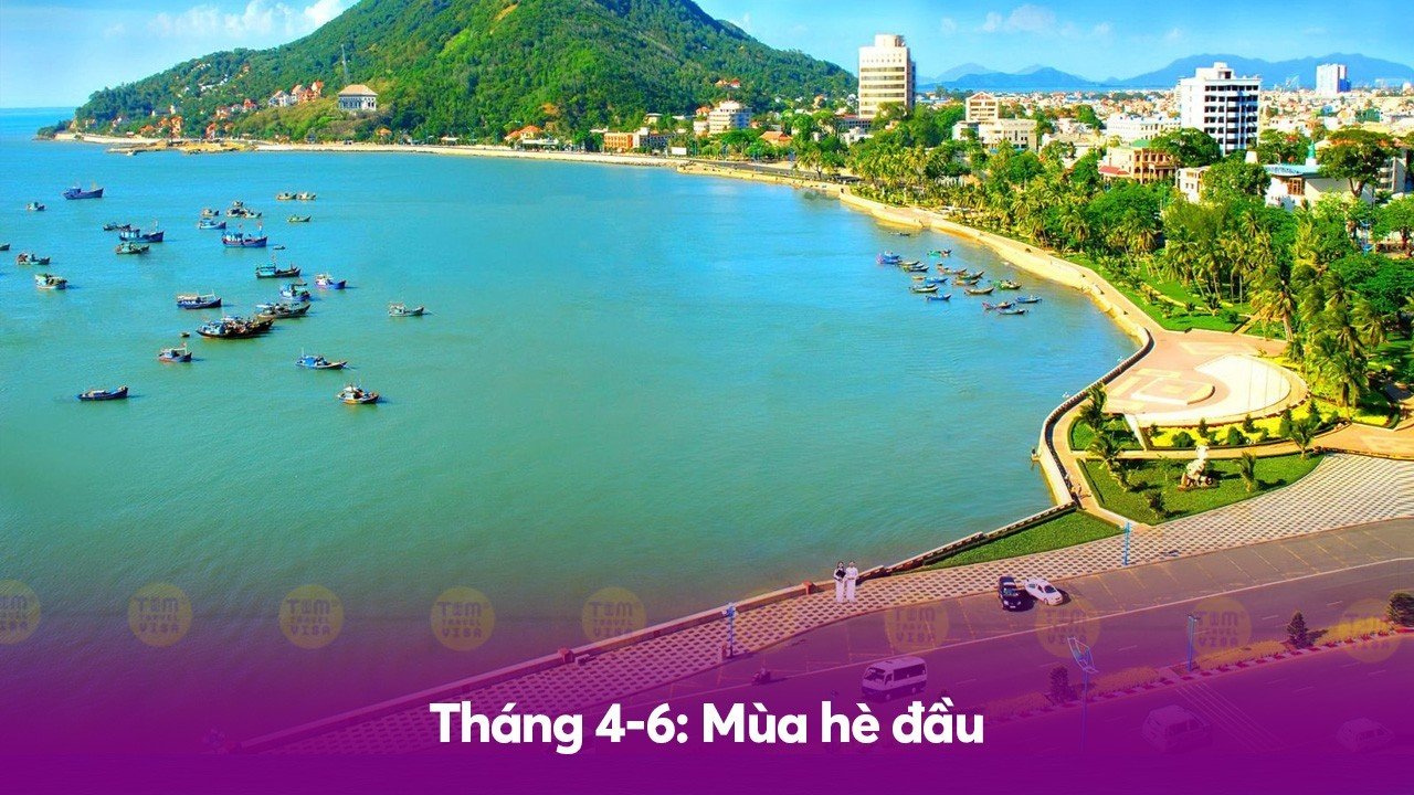 Tháng 4-6: Mùa hè đầu