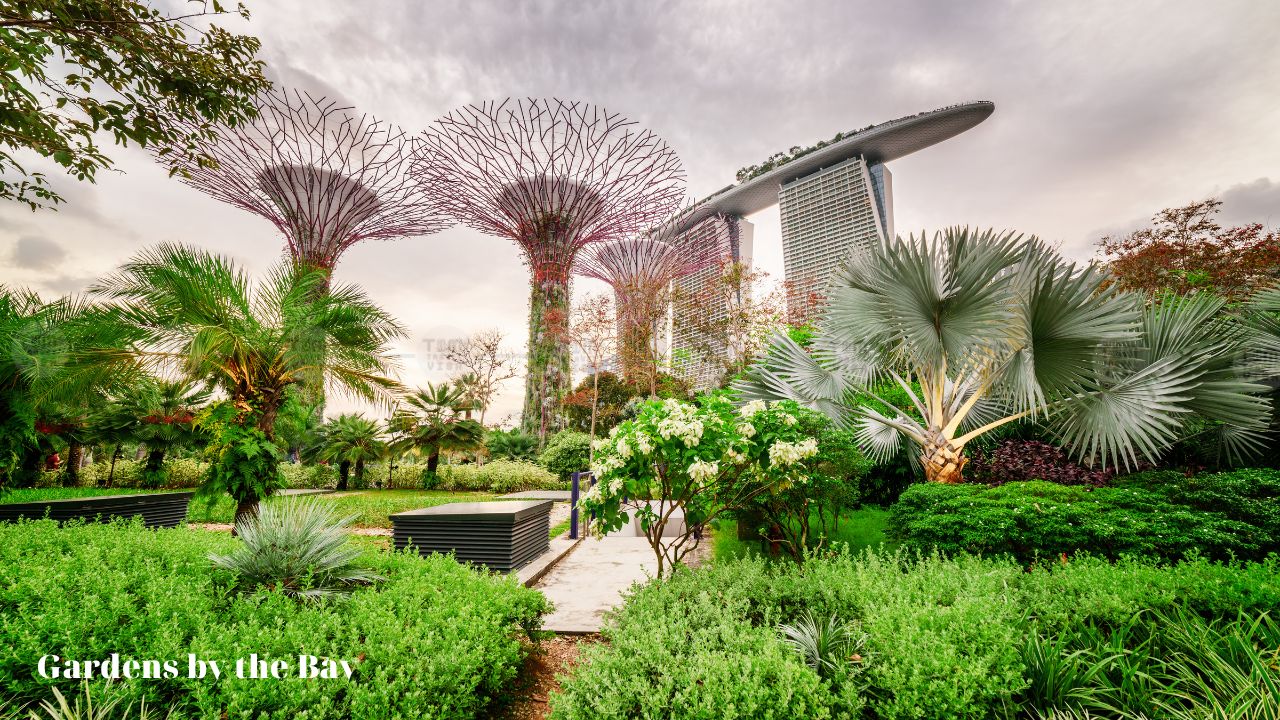 Gardens by the Bay