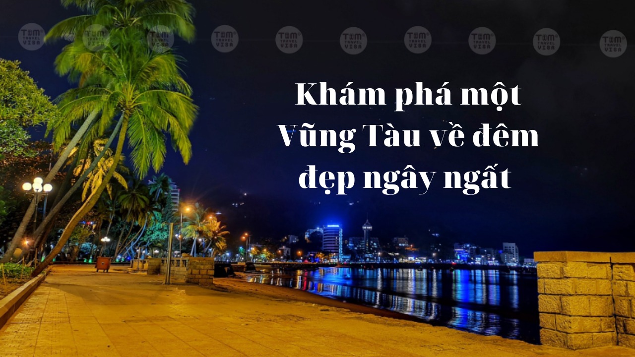 Khám phá một Vũng Tàu về đêm đẹp ngây ngất 
