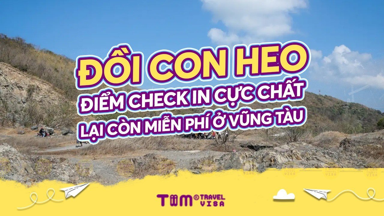 Đồi con heo - Điểm check in cực chất lại còn miễn phí ở Vũng Tàu	
