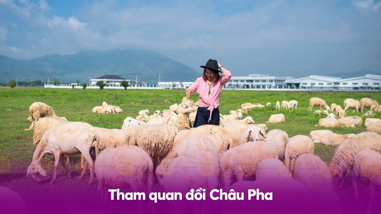 Vũng Tàu đi đâu chơi - Tham quan đồi Châu Pha