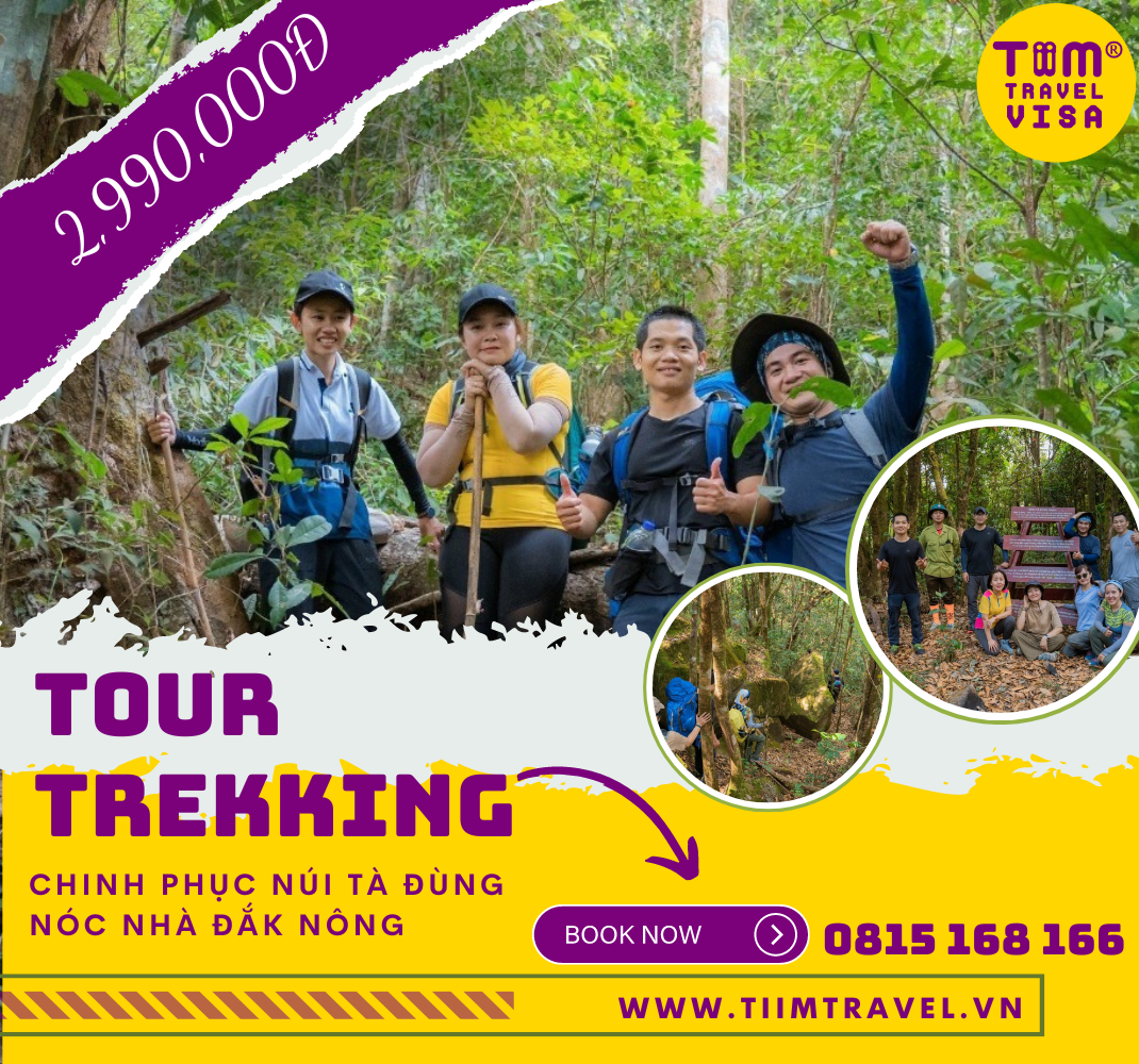  Chinh Phục Núi Tà Đùng Nóc Nhà Đắk Nông