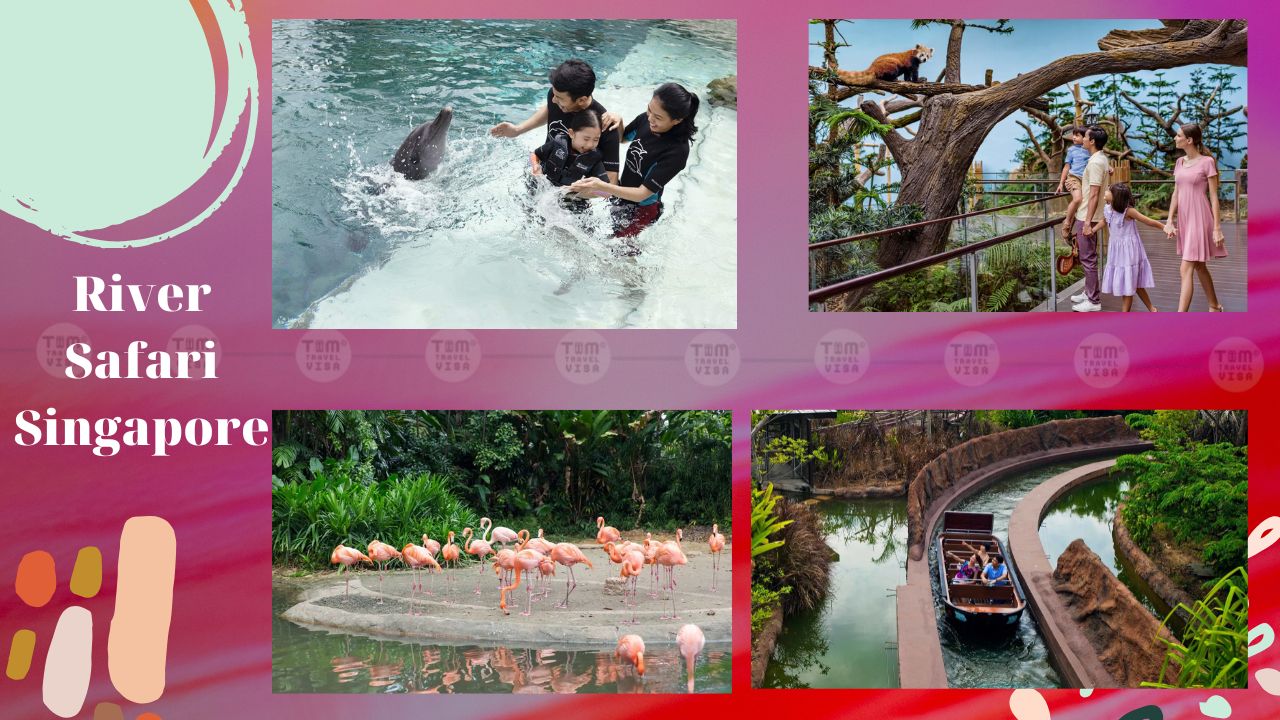 Những hoạt động thú vị tại River Safari Singapore