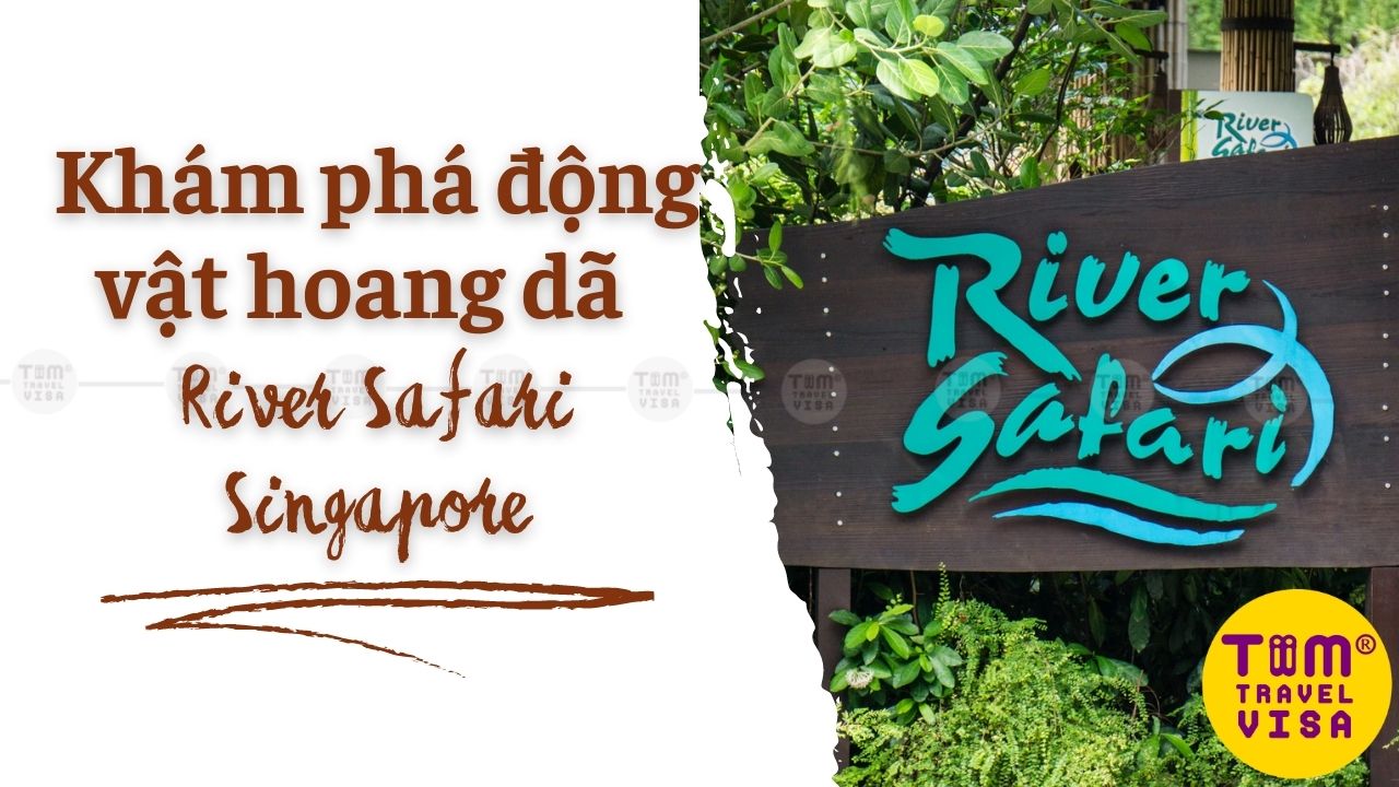 Khám phá động vật hoang dã tại River Safari Singapore