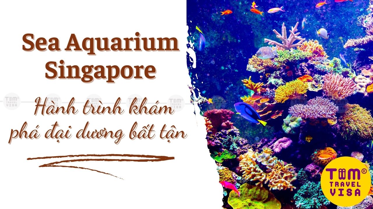 Sea Aquarium Singapore: Hành trình khám phá đại dương bất tận