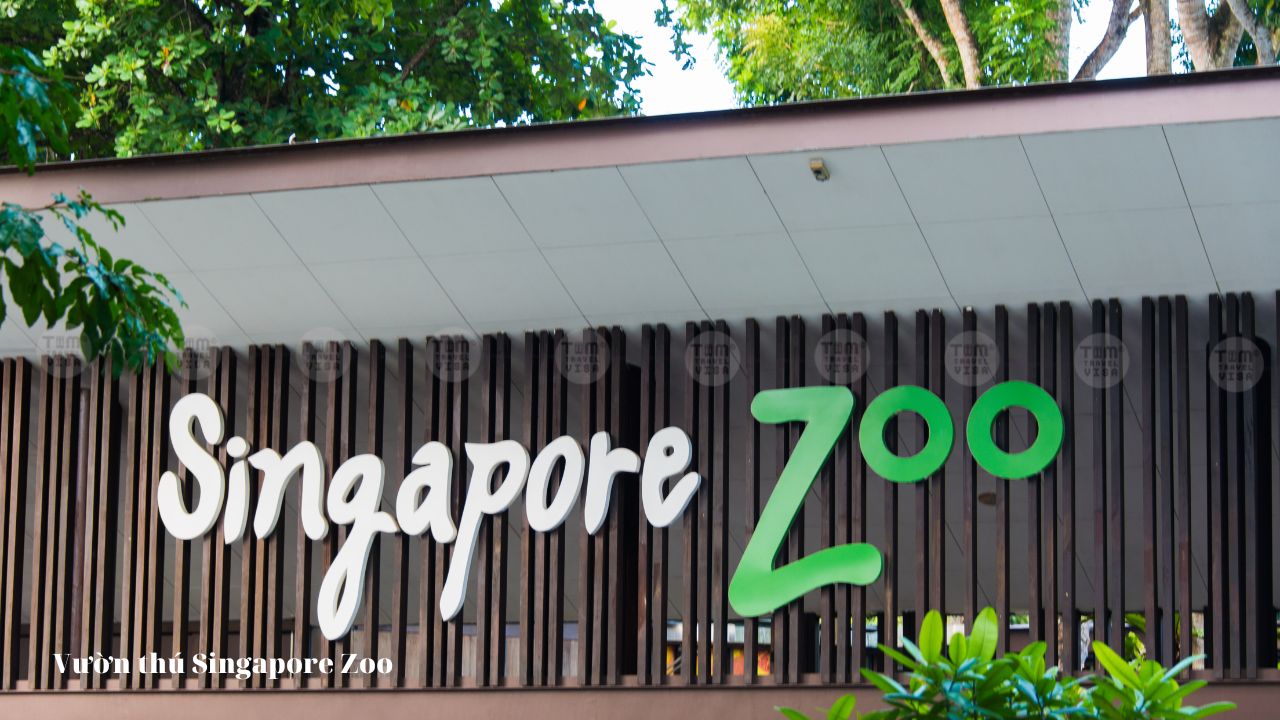 Giới thiệu về Vườn thú Singapore Zoo