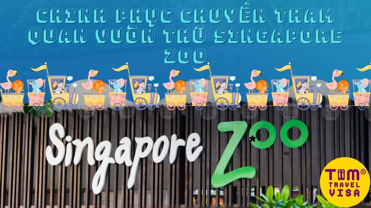 Chinh phục chuyến tham quan Vườn thú Singapore Zoo