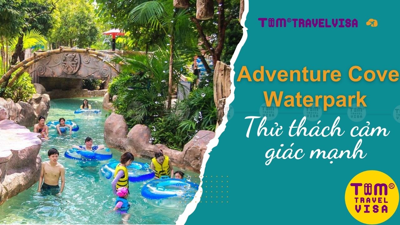 Adventure Cove Waterpark: Thử thách cảm giác mạnh