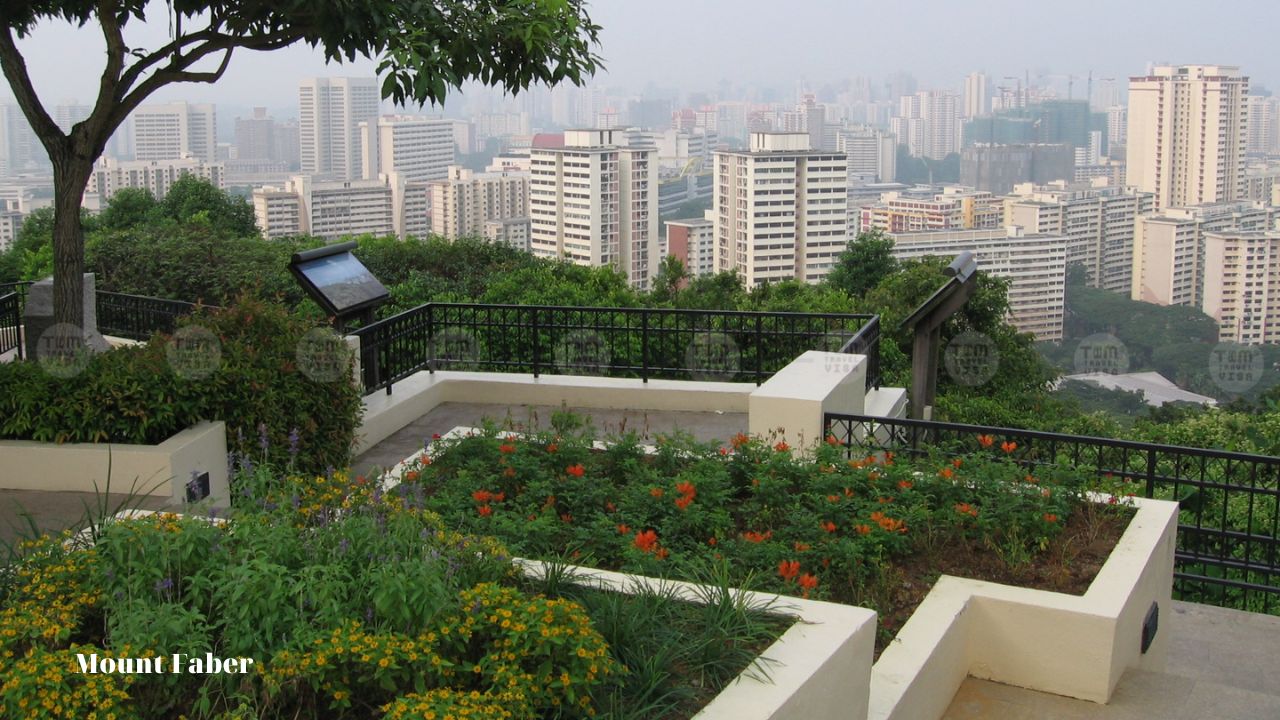 Giới thiệu về Mount Faber