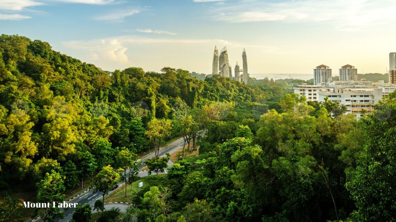 Giới thiệu về Mount Faber