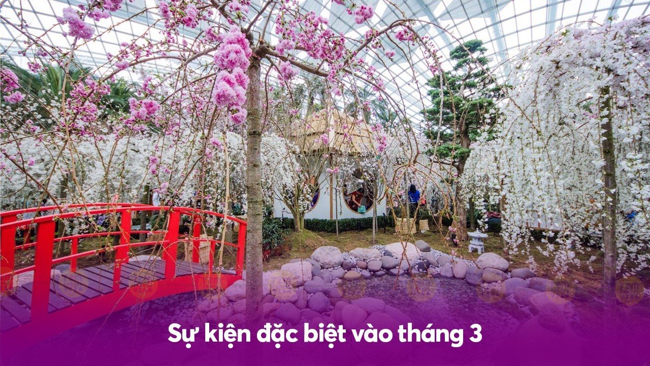 Sự kiện đặc biệt vào tháng 3