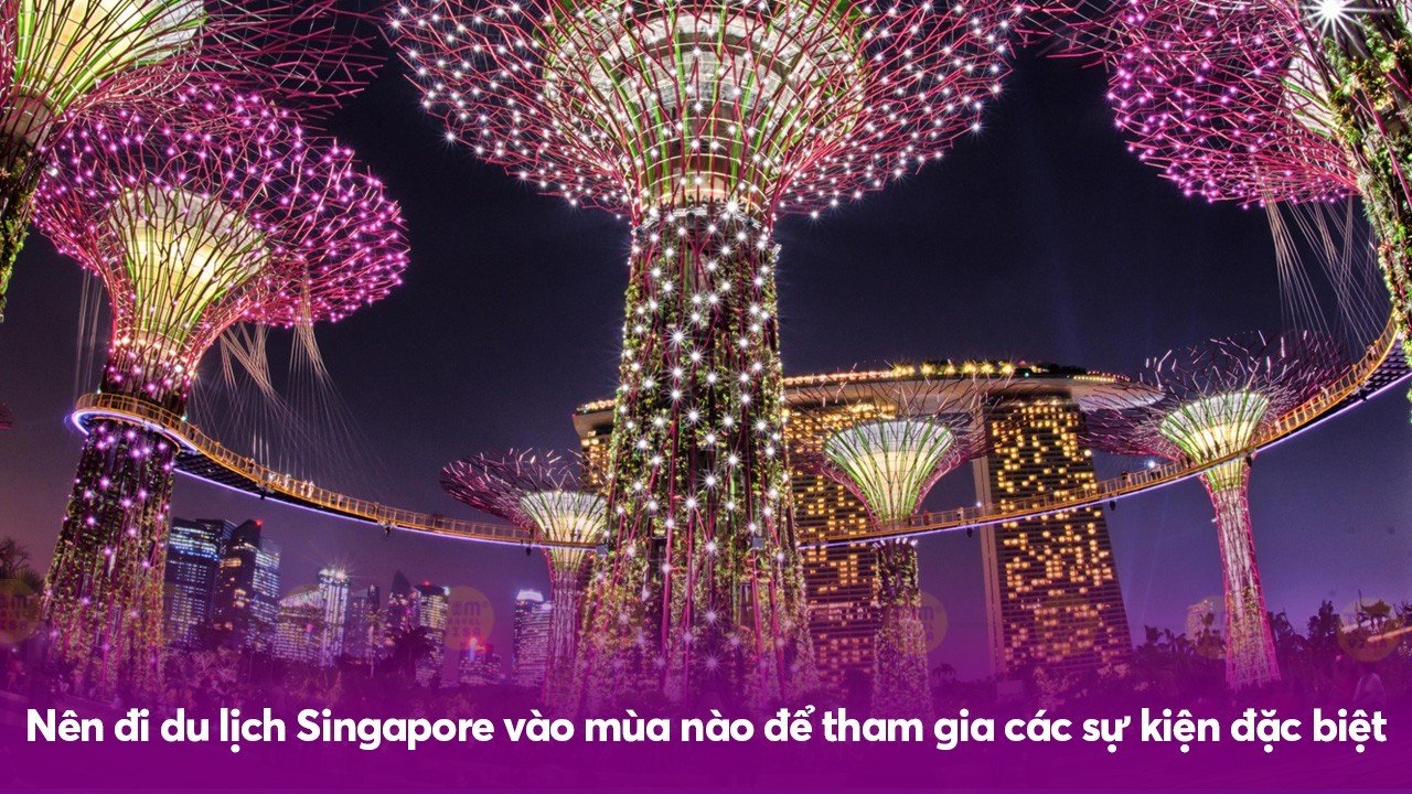 Nên đi du lịch Singapore vào mùa nào để tham gia các sự kiện đặc biệt