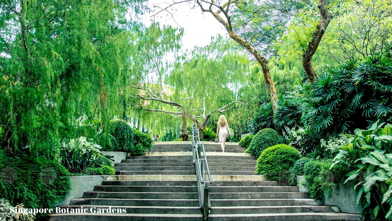 Singapore Botanic Gardens