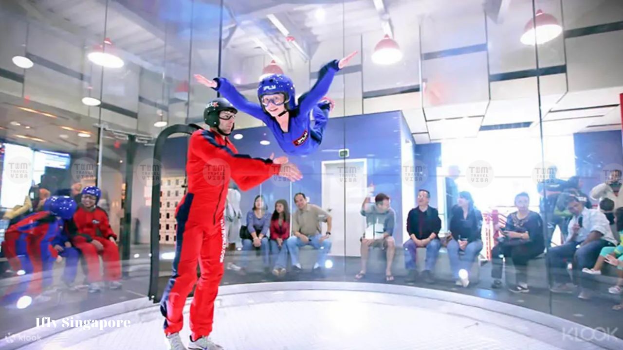 Các dịch vụ của Ifly Singapore