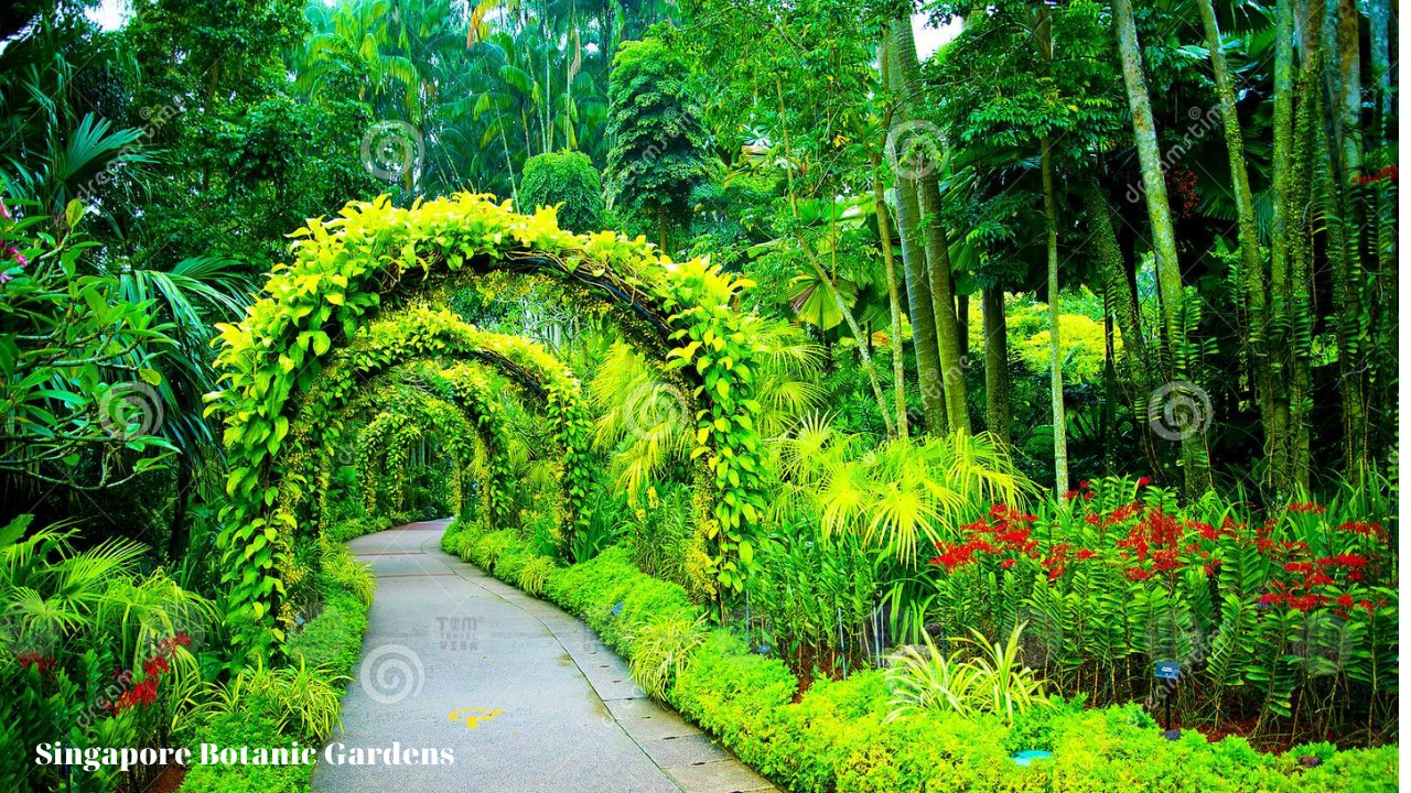 Singapore Botanic Gardens