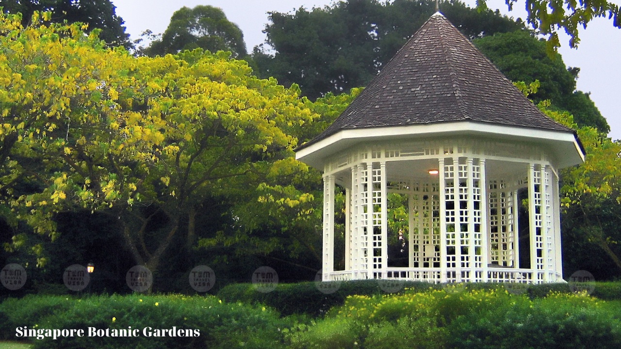 Singapore Botanic Gardens