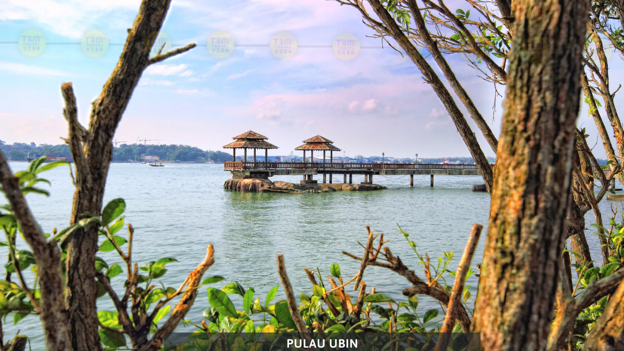 pulau ubin