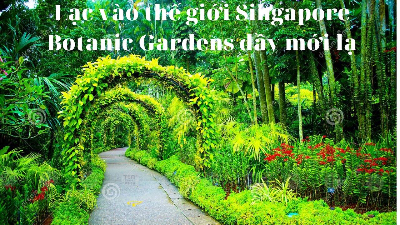 Lạc vào thế giới Singapore Botanic Gardens đầy mới lạ