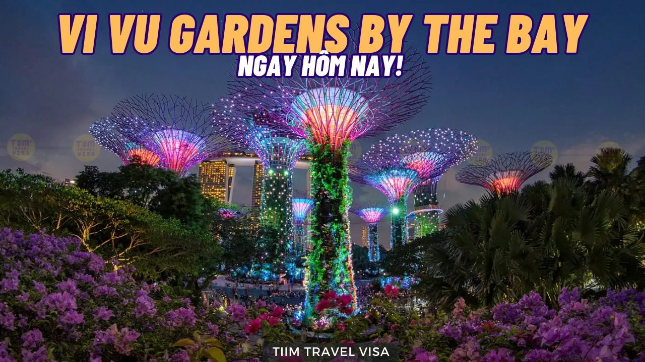 Vi vu Gardens By The Bay ngay hôm nay xem có gì hấp dẫn