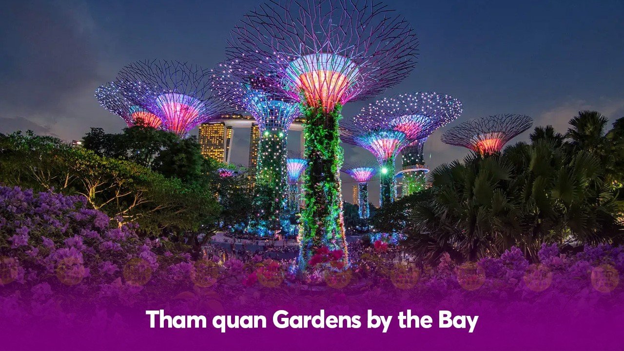 Buổi tối chơi gì ở Singapore - Tham quan Gardens by the Bay