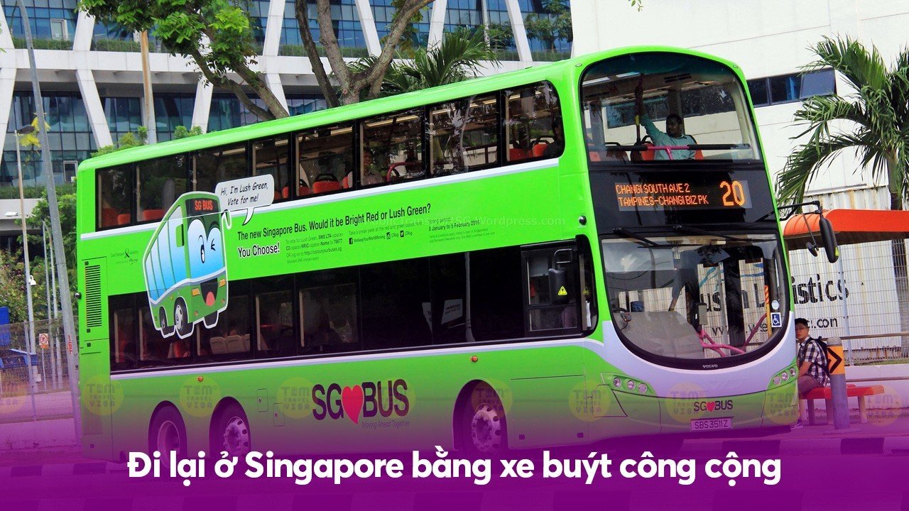 Đi lại ở Singapore bằng xe buýt công cộng