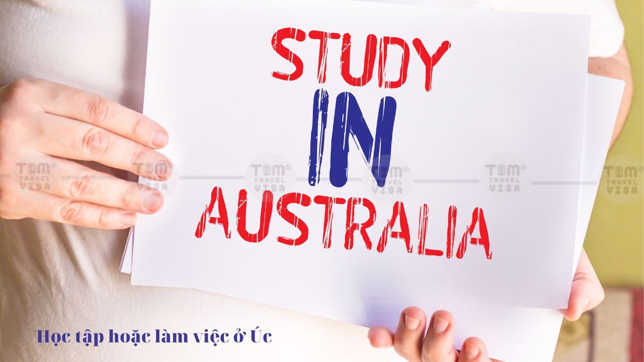 Bạn đã từng học tập hoặc làm việc ở Úc trước đó không?