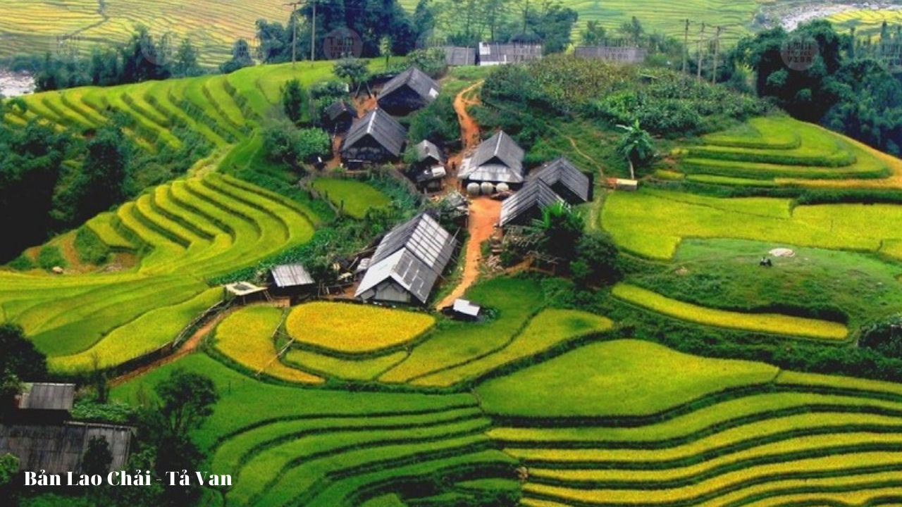 Bản Lao Chải - Tả Van