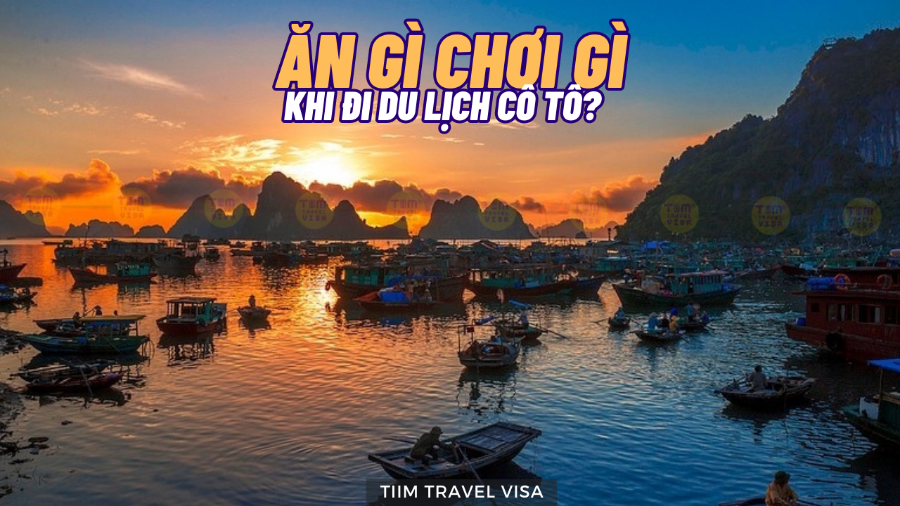 Cẩm nang ăn gì chơi gì khi du lịch Cô Tô? Chi tiết từ A - Z