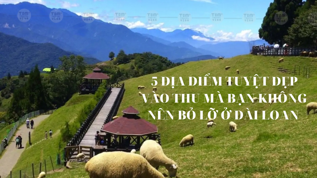 5 địa điểm tuyệt đẹp vào thu mà bạn không nên bỏ lỡ ở Đài Loan