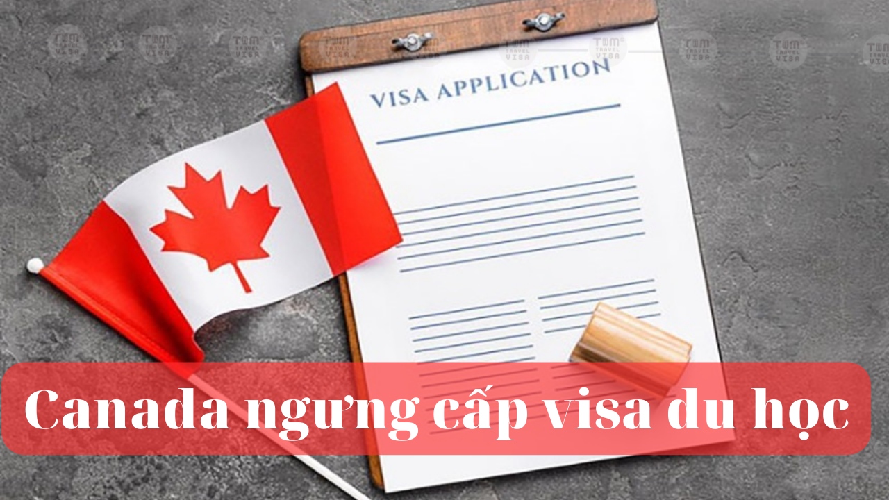 Canada ngưng cấp visa du học
